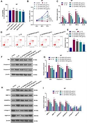 Magnoflorine Alleviates “M1” Polarized Macrophage-Induced Intervertebral Disc Degeneration Through Repressing the HMGB1/Myd88/NF-κB Pathway and NLRP3 Inflammasome